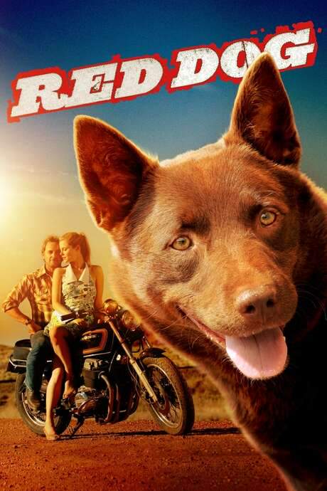Red Dog